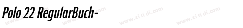 Polo 22 RegularBuch字体转换 Polo 22 RegularBuch字体转换